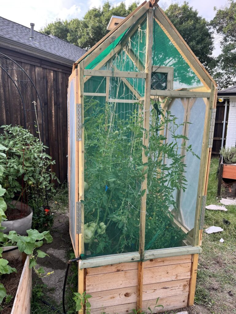 I built a garden bed cover that I’m hoping will act like a greenhouse because the Dallas heat usually kills my tomato plant. I’ve never built anything like this before, so it’s not perfect and doesn’t seem to be lowering the temp inside. Would love some advice. Zone 8a - intense heat this week!