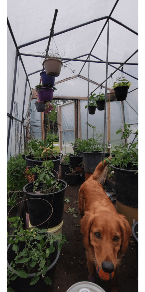 Best seat in the house