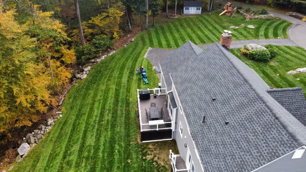 Old but good pics. Fall 2022