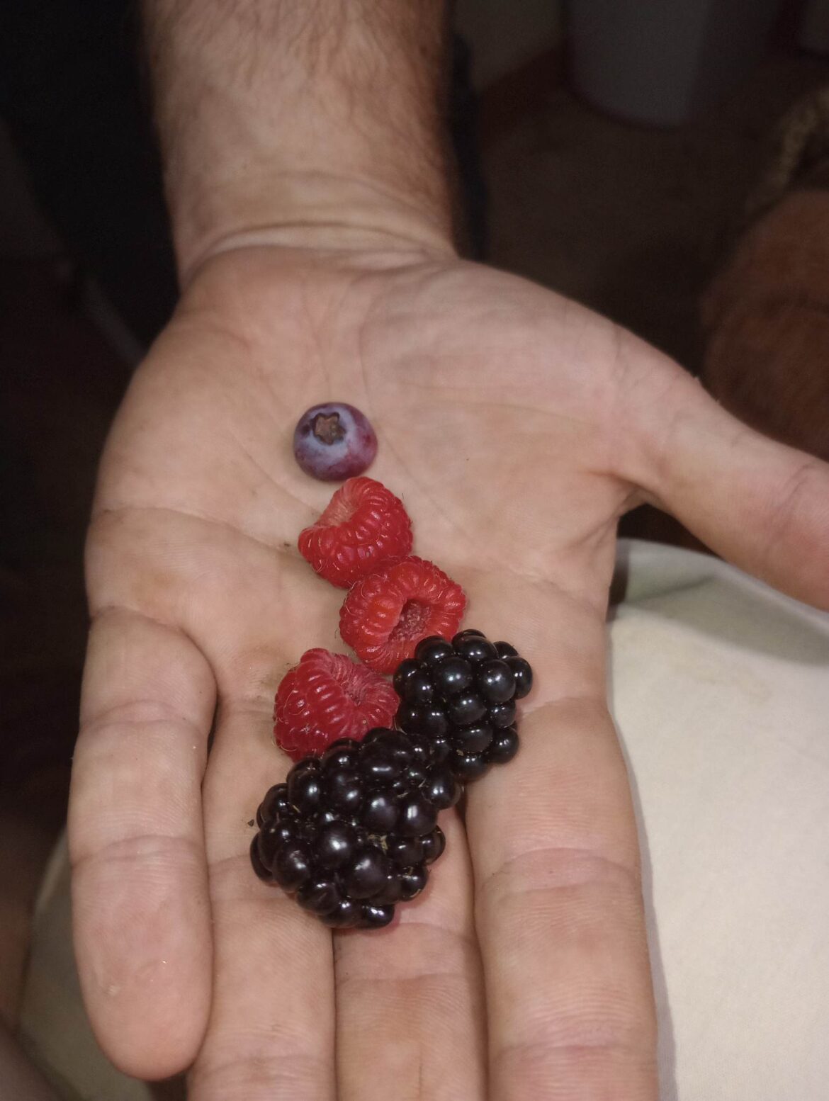 Another small handful