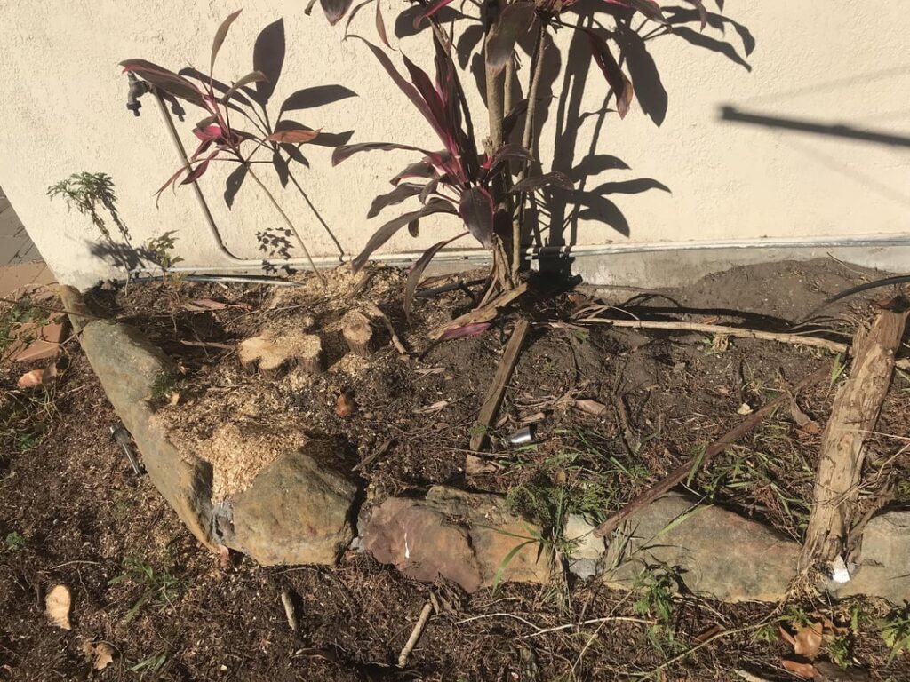 Arborists culled the garden.. WWAGD? Arborists culled the garden.. WWAGD?