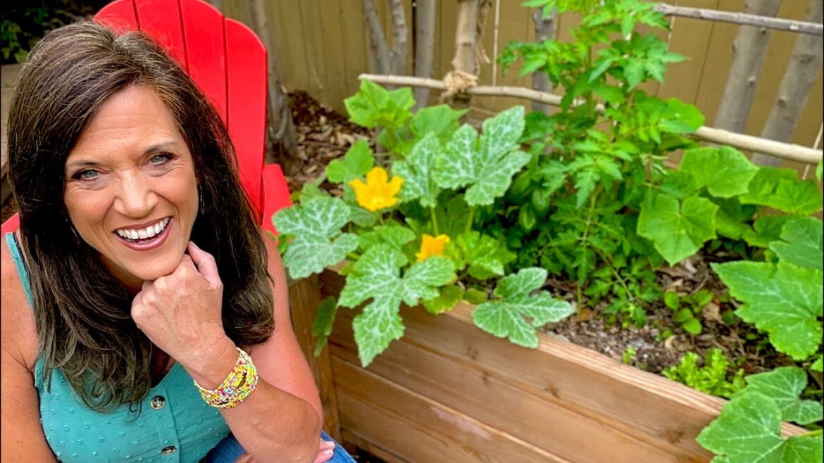 🍅 LIVE: Tips to Get Your Veggie Garden Groovin' in June!