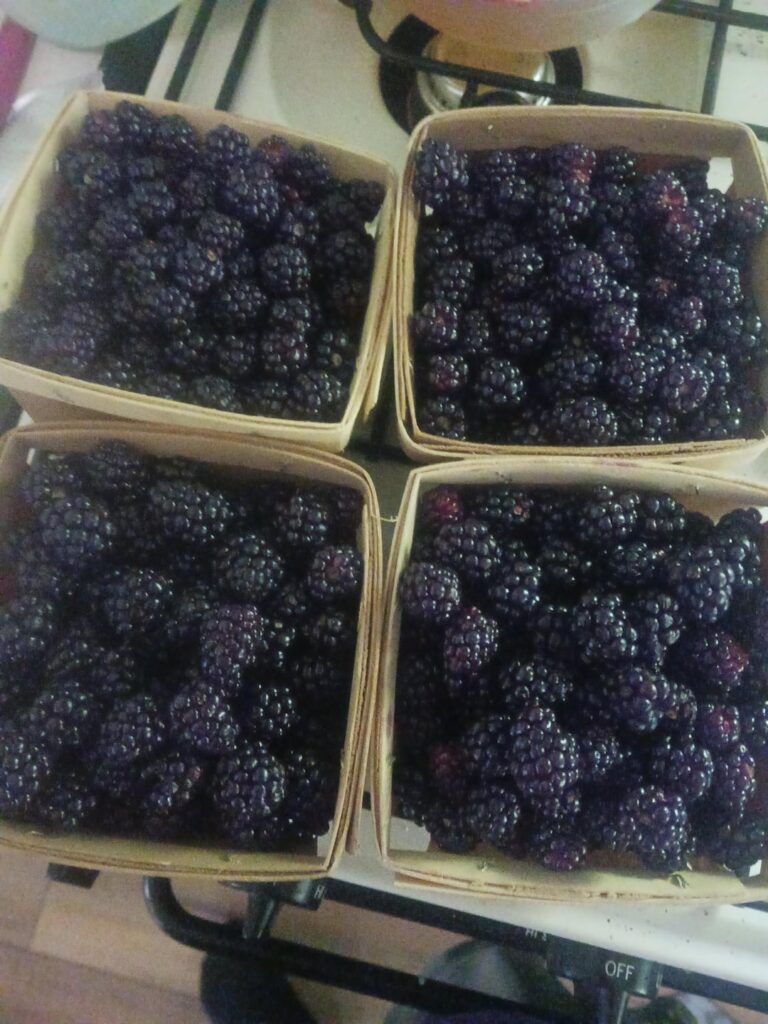 I'm loving berry selling season but man I hate that harvest