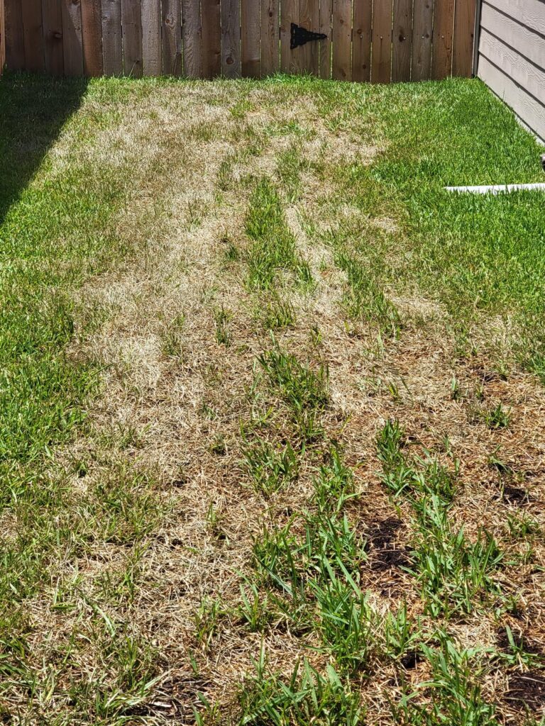 whats going on now...