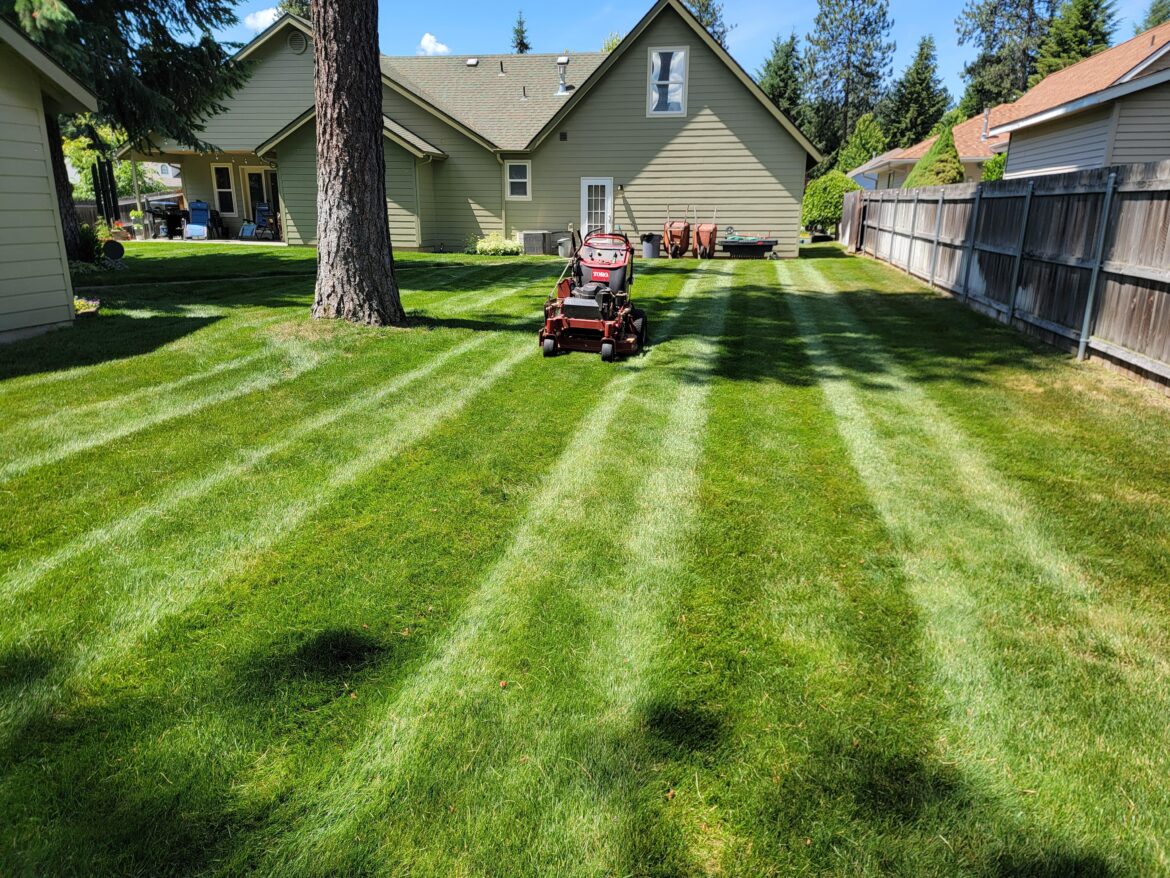 Enjoying the 4 inch cut height