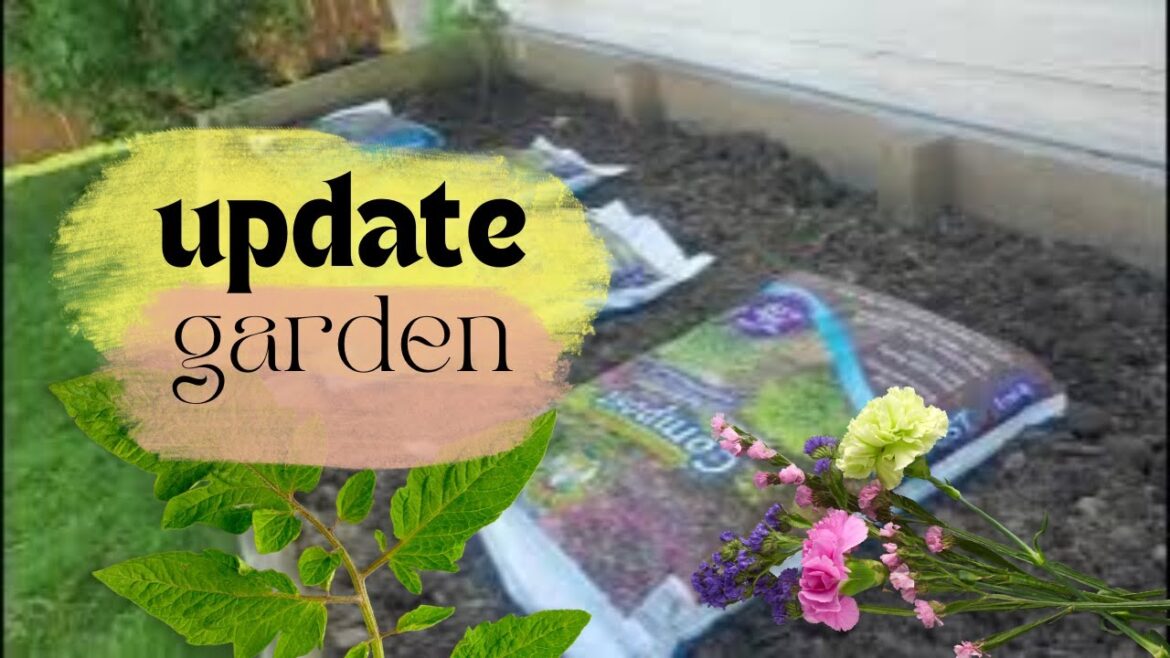 Edible Garden – Sick as a Dog | Tawny2.0 – Surthriving Cancer Vlog Edible Garden - Sick as a Dog | Tawny2.0 - Surthriving Cancer Vlog