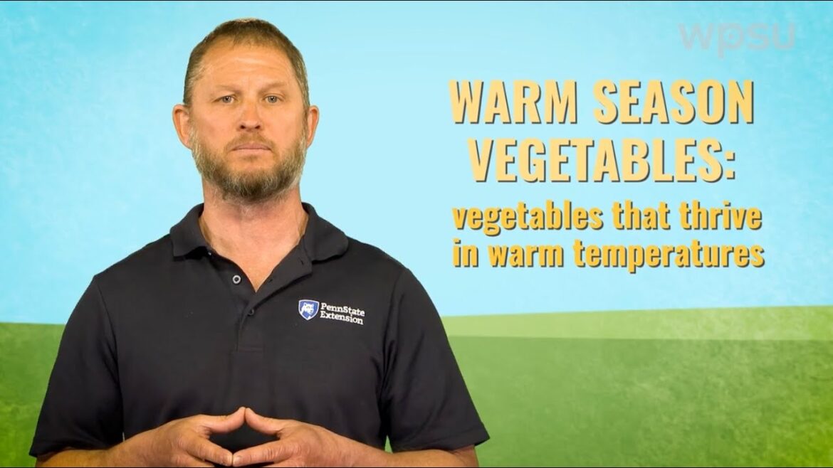 Warm Season Vegetables | Year-Round Gardening