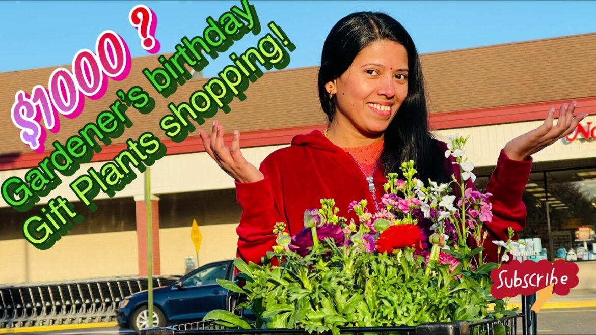 Multi branch Stock flower | Early April inventory Shop Rite, NJ | Backyard Garden