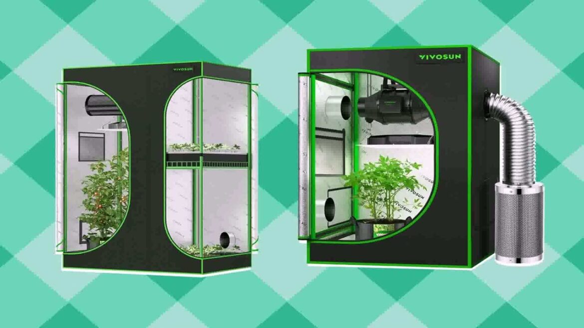 Vertical Indoor Garden Design Ideas