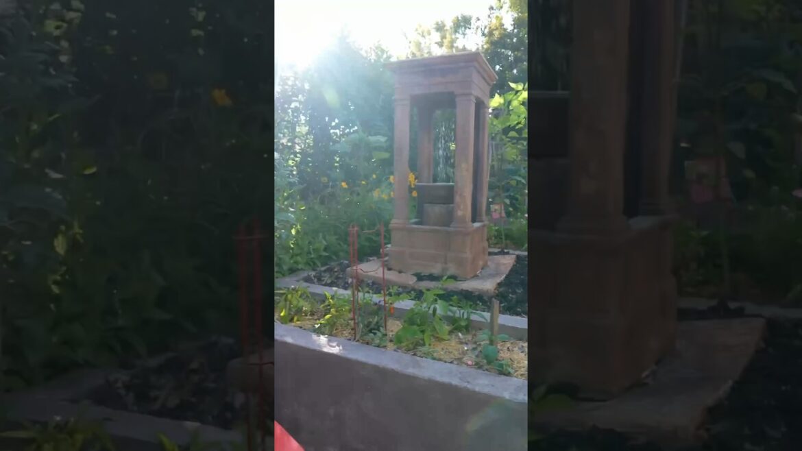 CaliKim: Cool Opening Video Sequence Cool Opening Video Sequence