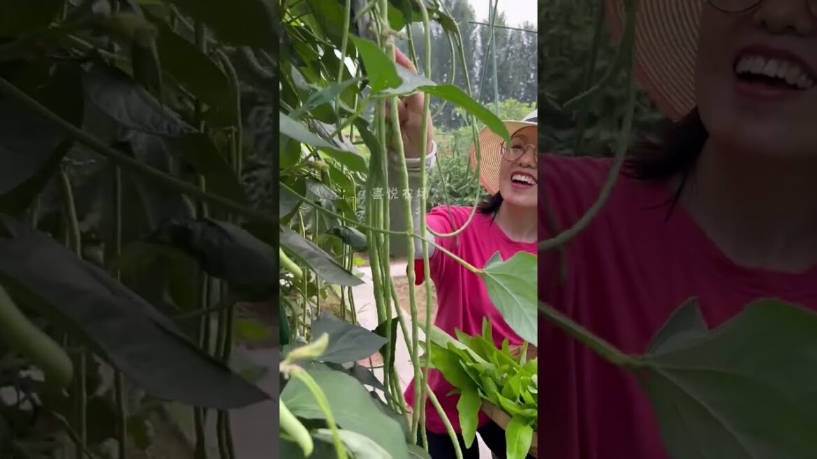 #gardenlife #fruit #fruitgarden #carving #bamboogarden #vegetablegardening #reels #bushcraft #bamboo #gardenlife #fruit #fruitgarden #carving #bamboogarden #vegetablegardening #reels #bushcraft #bamboo