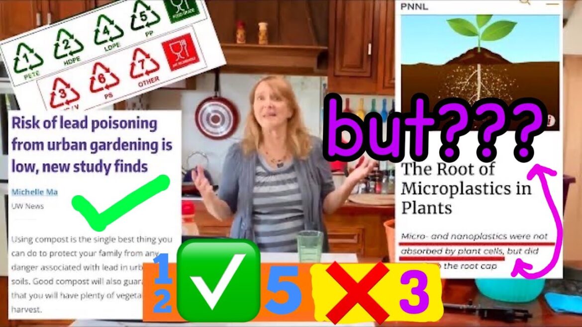 What You Need To Know Before Growing In Plastic Container Garden Vegetable Gardening Tote Bucket Pot