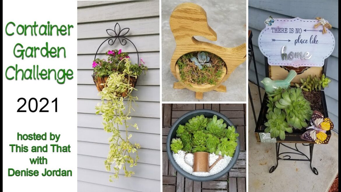 Container Garden Challenge ๐ผ๐ท2021 Container Garden Challenge ๐ผ๐ท2021