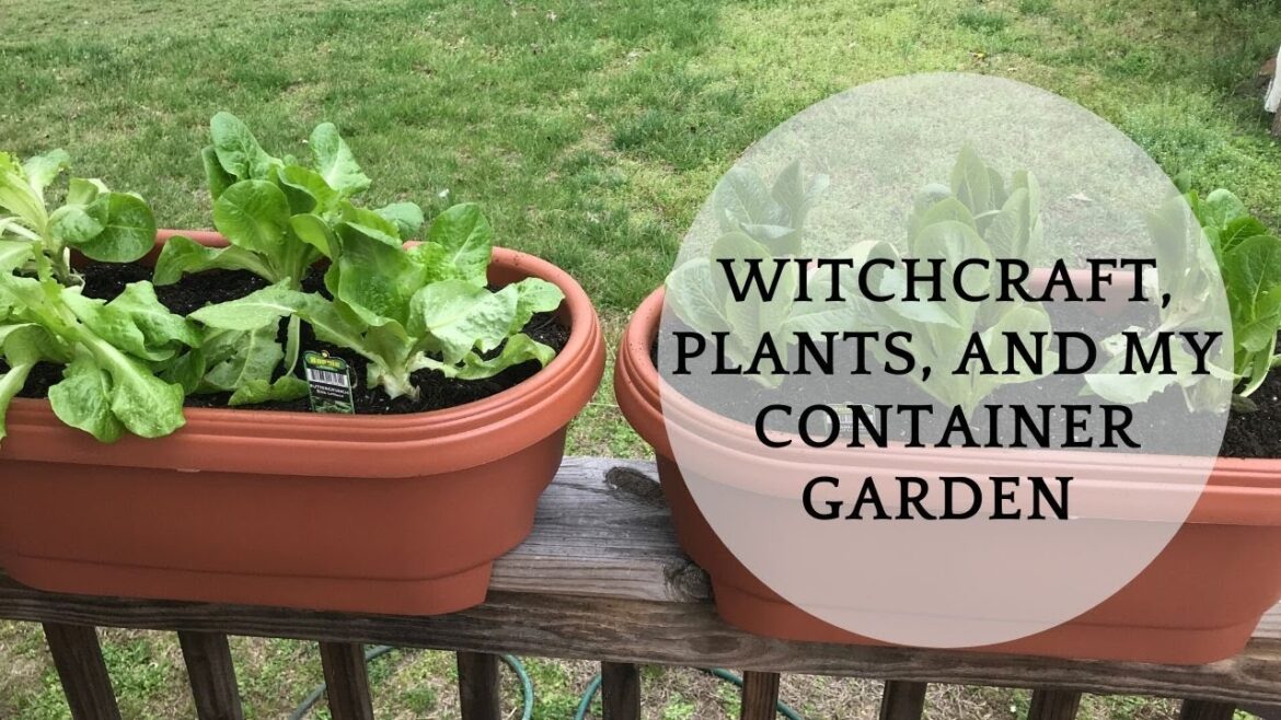 Witchcraft, Plants, and My Container Garden Witchcraft, Plants, and My Container Garden