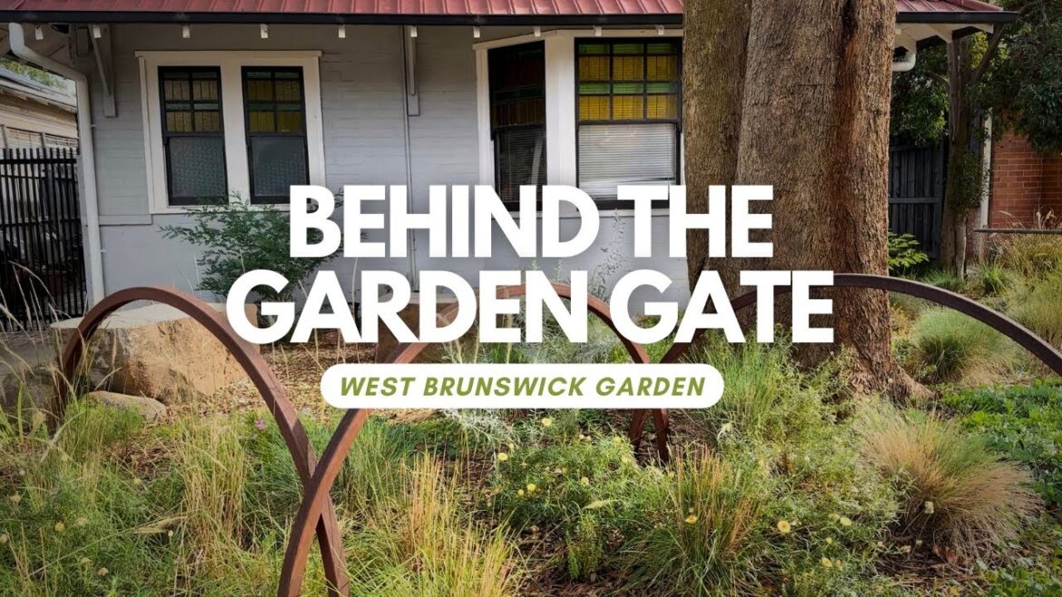 Small garden filled w Australian native & pollinator plants – Behind the Garden Gate – Garden Design Small garden filled w Australian native & pollinator plants - Behind the Garden Gate - Garden Design