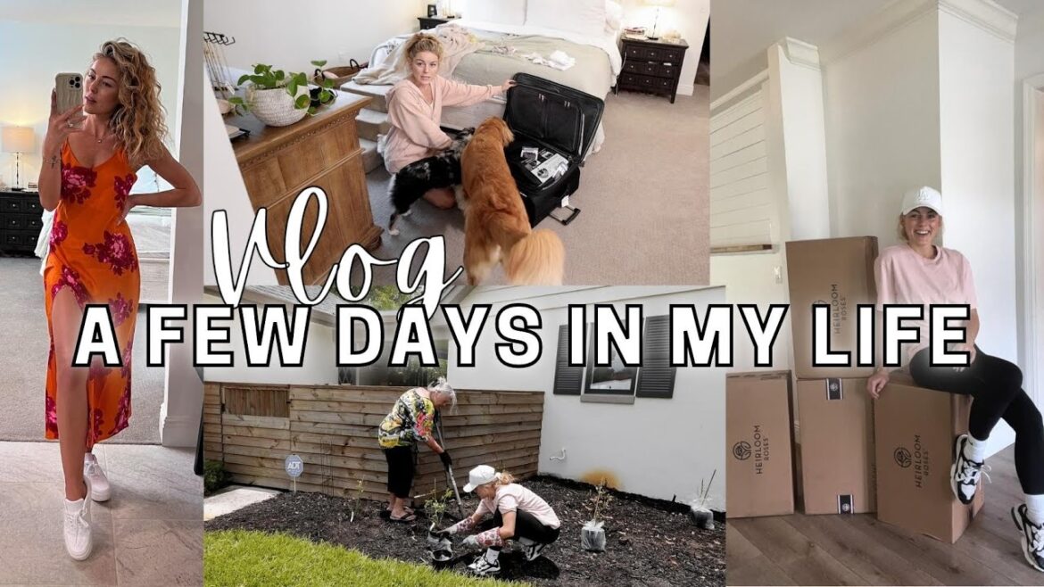 Vlog: Planting My Rose Garden, Packing With Me For Utah & Summer Haul Vlog: Planting My Rose Garden, Packing With Me For Utah & Summer Haul