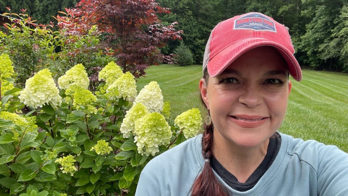 Hydrangea Garden Tour | Gardening with Creekside