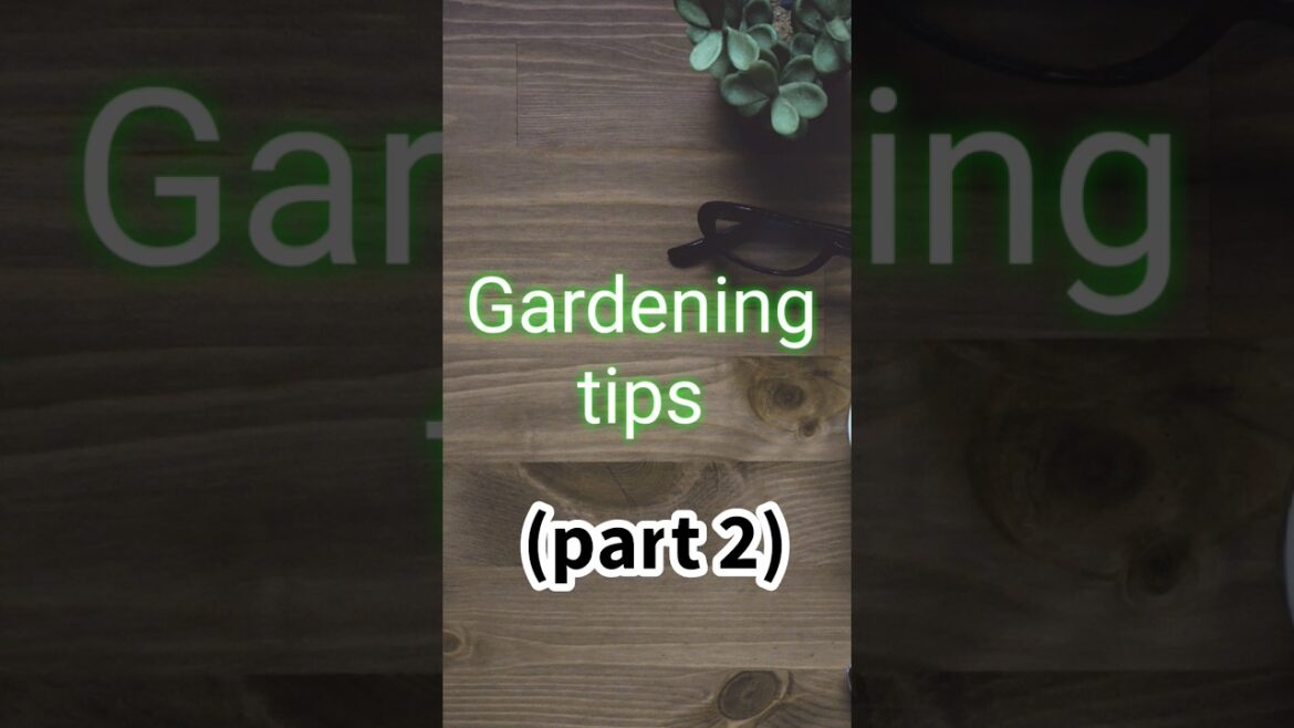 gardening tips part 2 #shorts#shortfeed