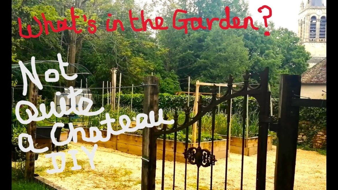 Not Quite a Chateau DIY 195 - Garden Update - Spring to Summer - First Harvests and Pretty Flowers