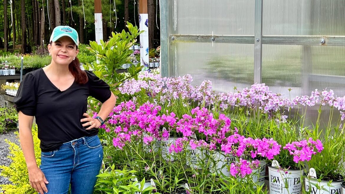 Must Have Perennials | Gardening with Creekside