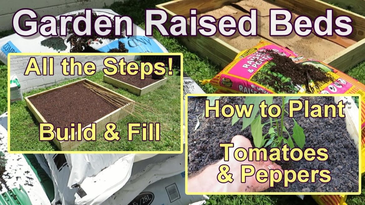 Gary Pilarchik: How to Build & Fill a Garden Raised Bed and How to Plant Tomatoes & Peppers – All the Steps! How to Build & Fill a Garden Raised Bed and How to Plant Tomatoes & Peppers - All the Steps!