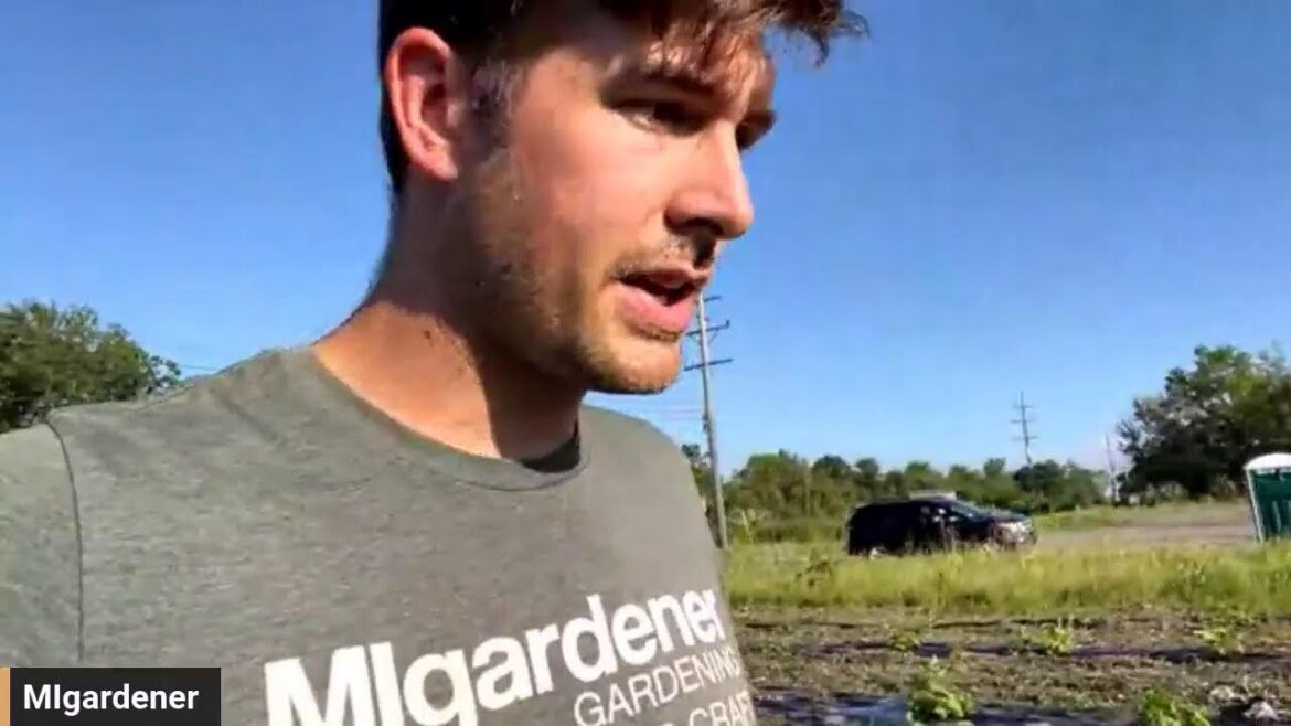 Tour of the ‘Notawetlands Pumpkin Patch’!