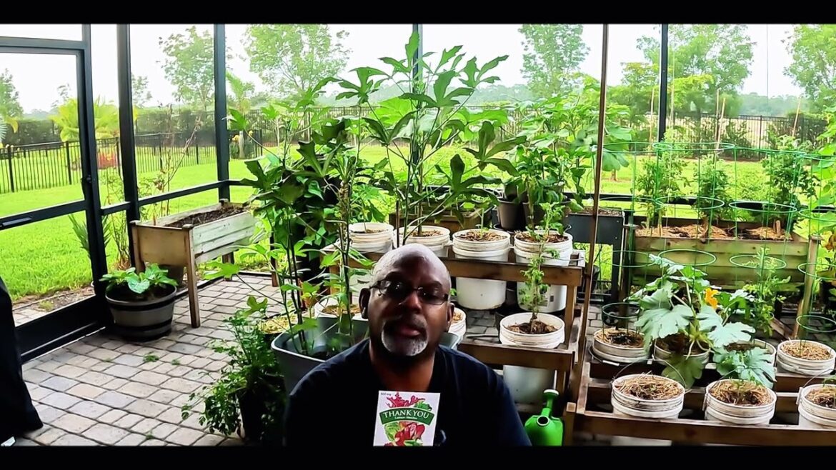 Mail Call || Agrothrive, Botanical Interest, & Urban Farmer Deliveries Mail Call || Agrothrive, Botanical Interest, & Urban Farmer Deliveries