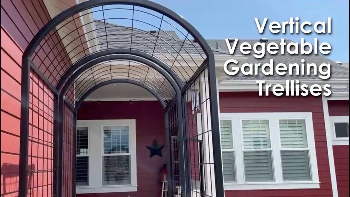 Trellises for Vertical Vegetable Gardening Trellises for Vertical Vegetable Gardening