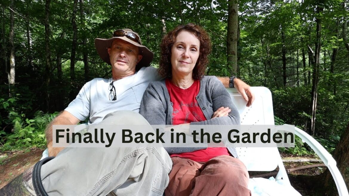 First Time Back in the Garden & How We’re Making It After Losing Matt’s Mother First Time Back in the Garden & How We're Making It After Losing Matt's Mother