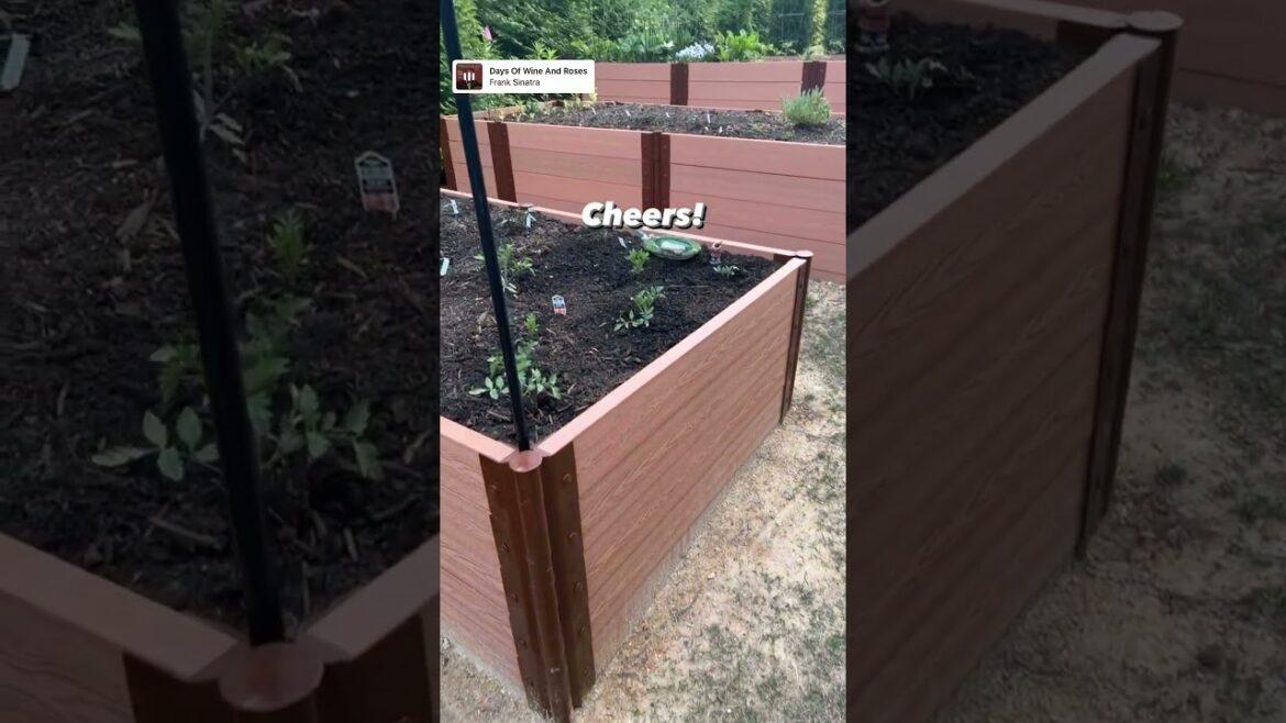 Home Gardening Cheers! Construction Update Complete!