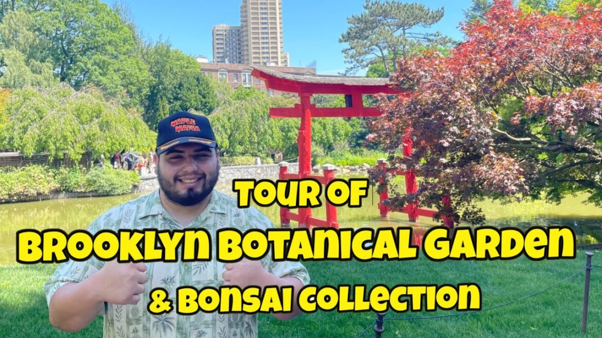 Brooklyn Botanic Garden & Bonsai Collection Tour with Corbin Wildcatt