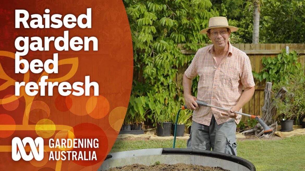 How to refresh your raised vegie garden beds | Garden Design and Inspiration | Gardening Australia How to refresh your raised vegie garden beds | Garden Design and Inspiration | Gardening Australia