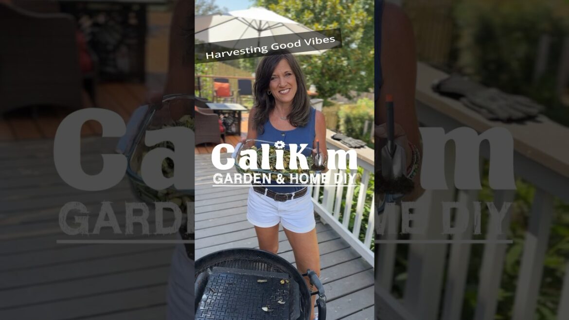 Are You Harvesting Good Vibes?