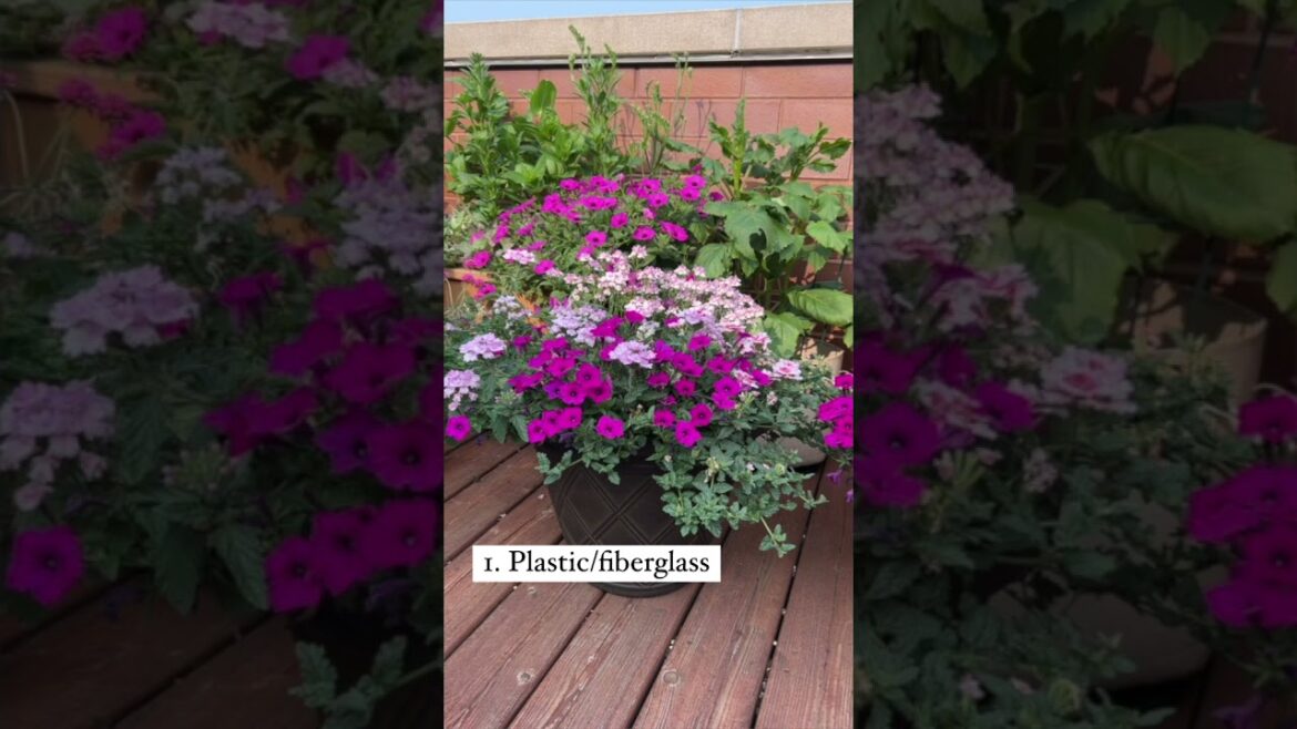What Type of Containers Work on a Balcony?🌱🌿🌼