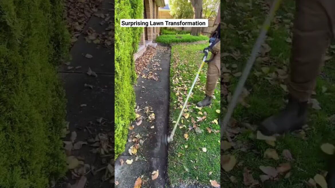 Follow for more gardening tips and tricks π¨βπΎπ§Ίπ±π‘#shorts #viral #diy #hack #plants #plantslover Follow for more gardening tips and tricks π¨βπΎπ§Ίπ±π‘#shorts #viral #diy #hack #plants #plantslover