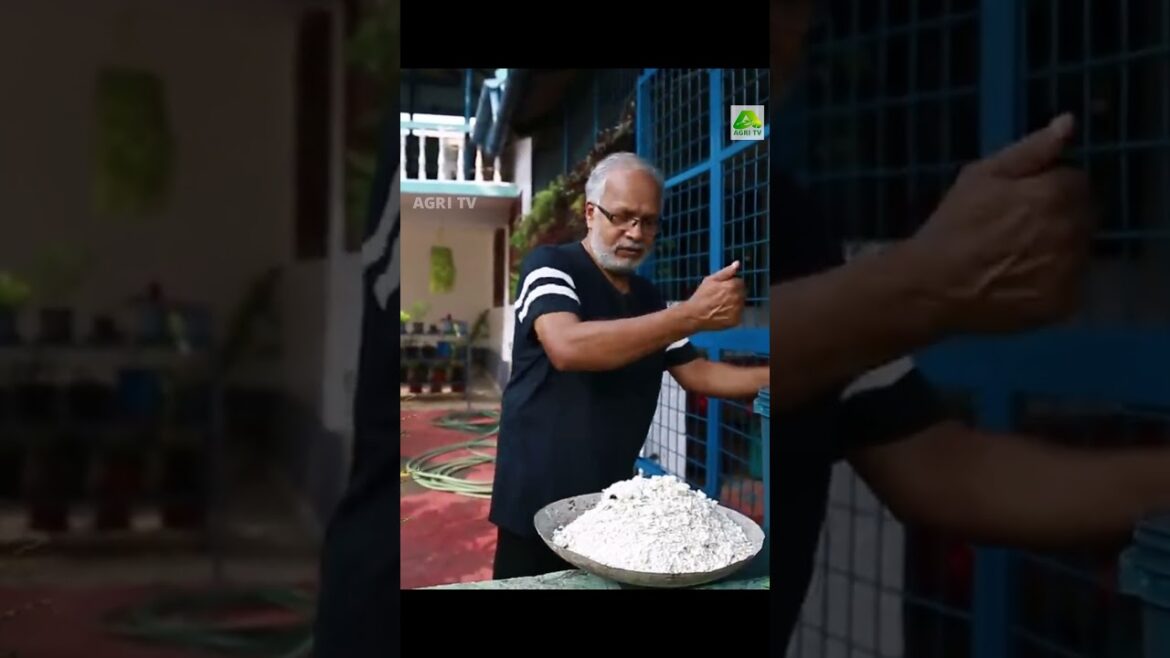 ഇതൊന്ന് മതി ചെടികൾ പൂക്കൾ കൊണ്ട് നിറയാൻ| Flowering Tips| K.S.Nair Kochi|