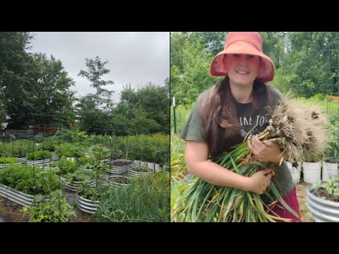 Tips for Growing More Food ~ Maximizing Garden Harvests Tips for Growing More Food ~ Maximizing Garden Harvests