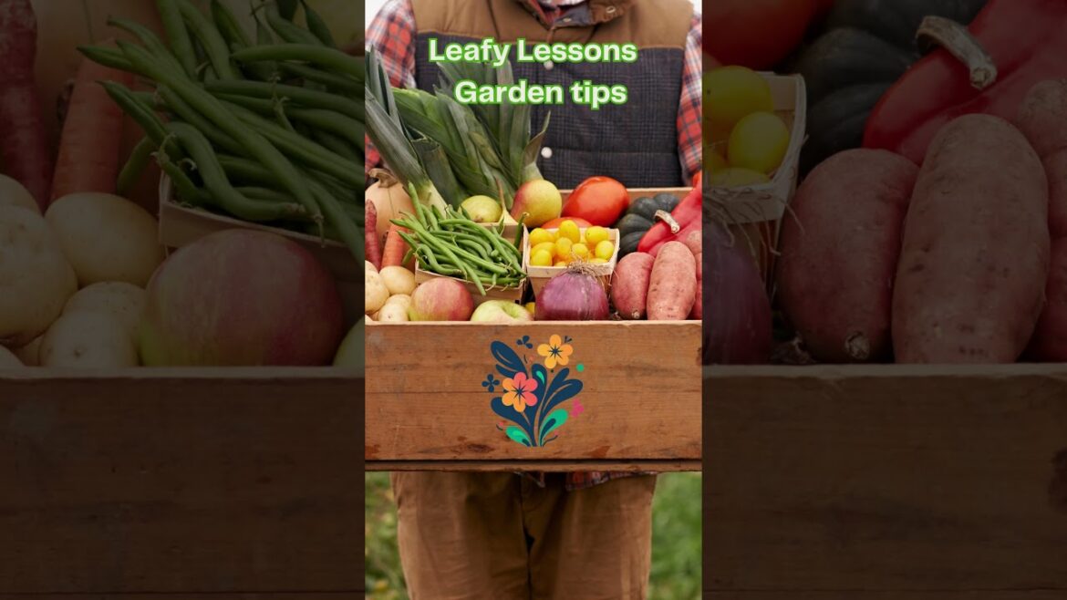 Leafy Lessons Garden tips #shorts #GardenTips #GardeningAdvice #PlantCare #GreenThumb Leafy Lessons Garden tips #shorts #GardenTips #GardeningAdvice #PlantCare #GreenThumb