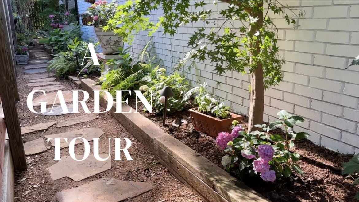 June 2023 | Texas Garden Tour (MUST SEE!) | Small Garden June 2023 | Texas Garden Tour (MUST SEE!) | Small Garden