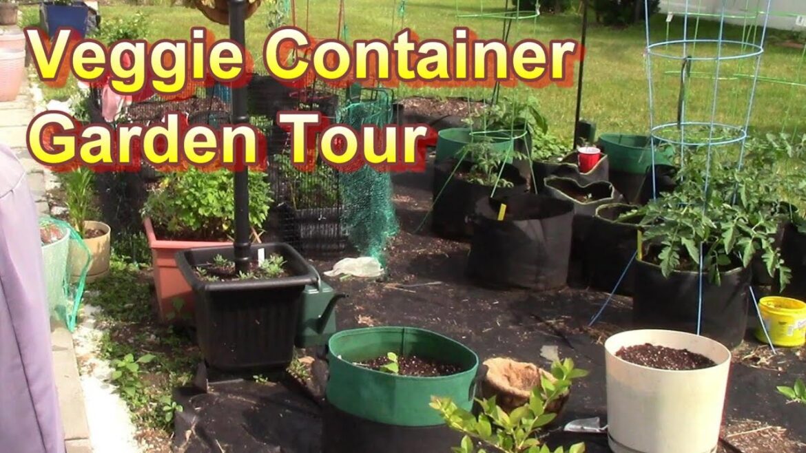 Veggie Container Garden Update and Tour (May 2023 Garden Update)