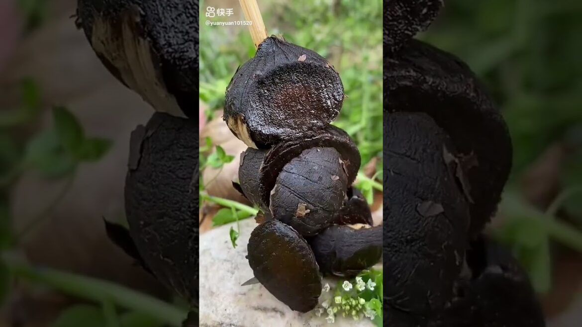 do you know this fruit?|Fruits🍒Videos#shorts #viral #fruit do you know this fruit?|Fruits🍒Videos#shorts #viral #fruit