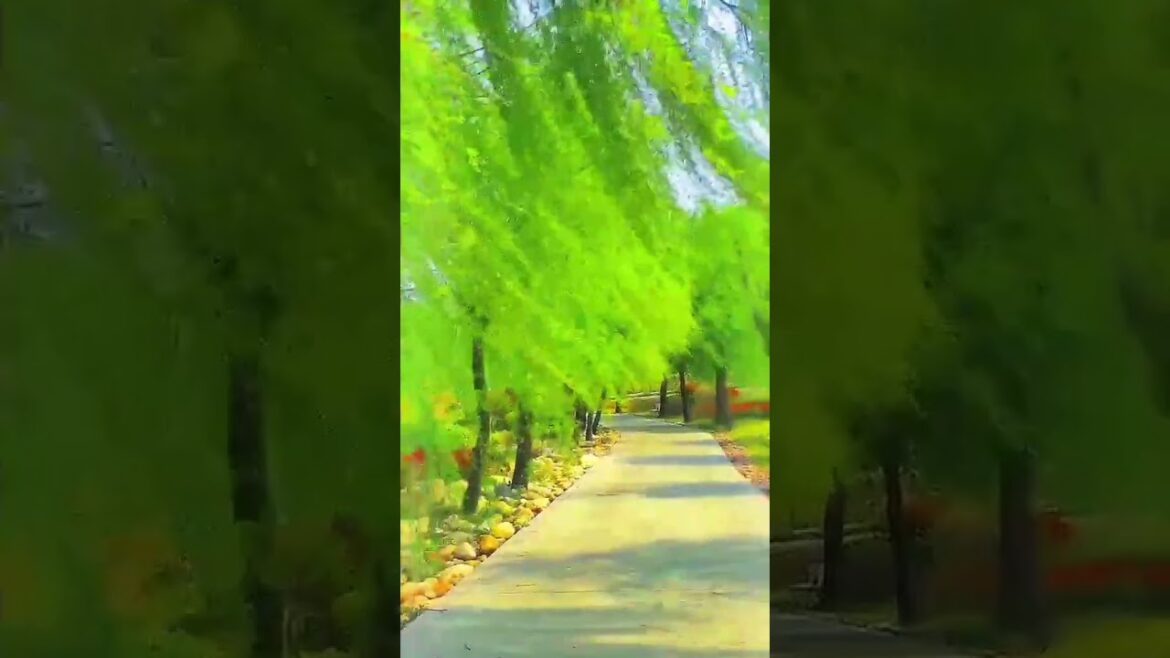 Beautiful Nature Garden Plan Natural life Style Beautiful landscapes