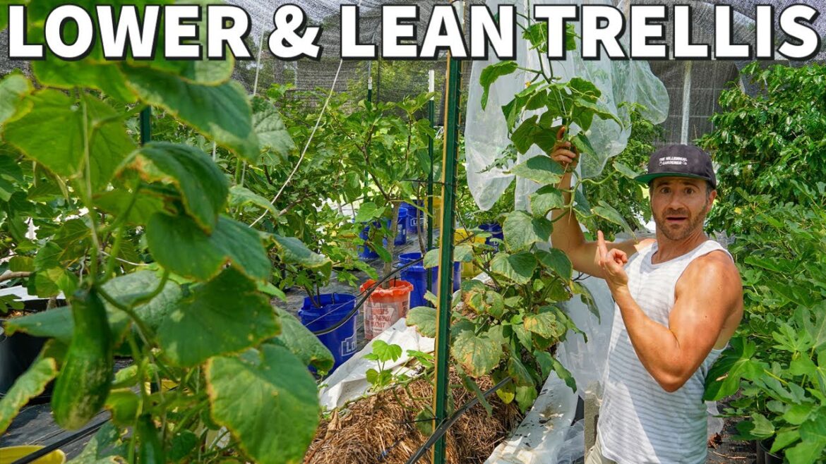 This Method Of Trellising Veggies Is MAGIC [Better Than Staking]