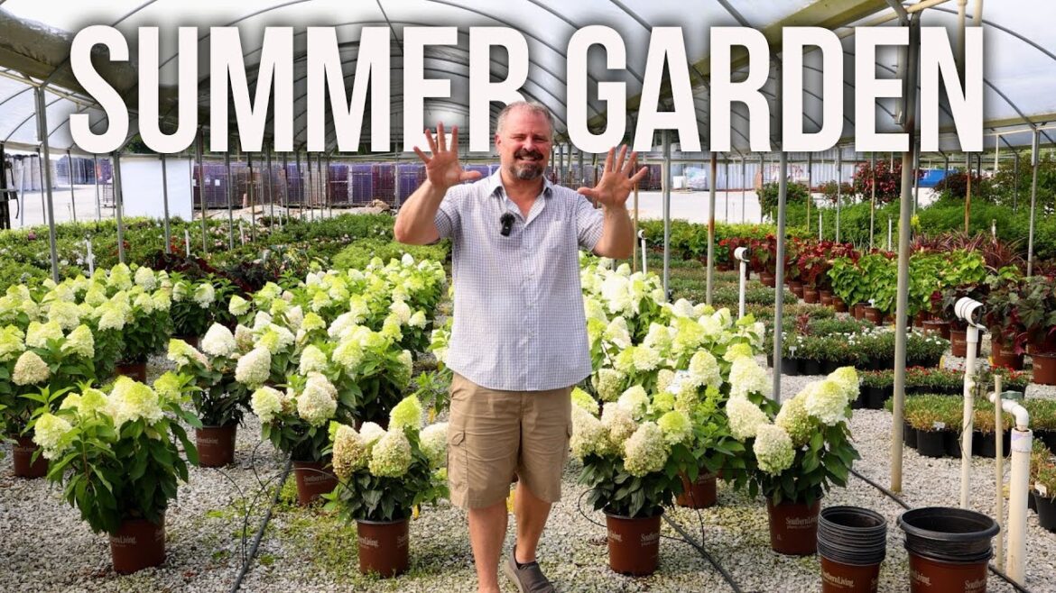 Top 10 Summer Gardening Tips – July Garden Checklist Top 10 Summer Gardening Tips - July Garden Checklist