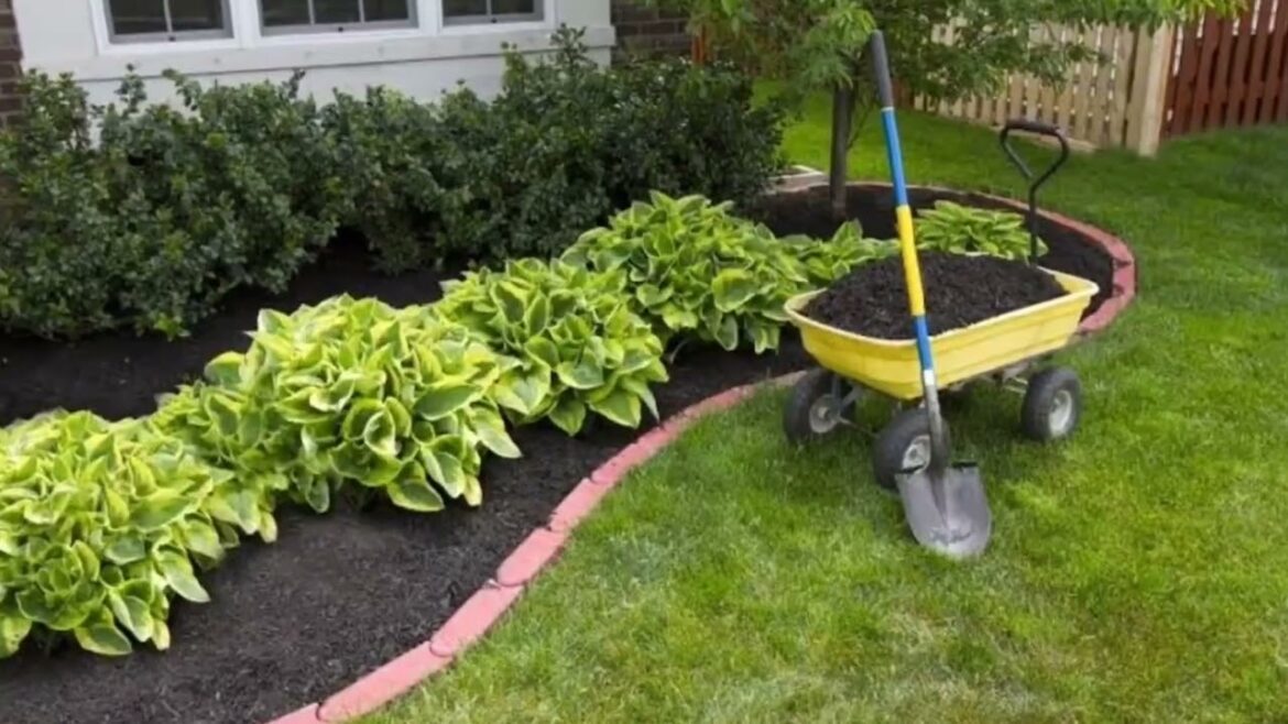 Modern Front Yard And Backyard Landscaping Designs 2023 | Garden Ideas #landscape #backyard #garden