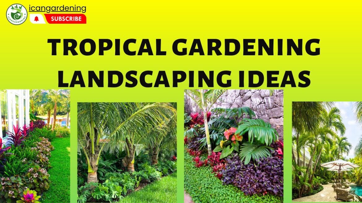 Tropical Gardening Landscaping Ideas || Creating a Lush Paradise at Home