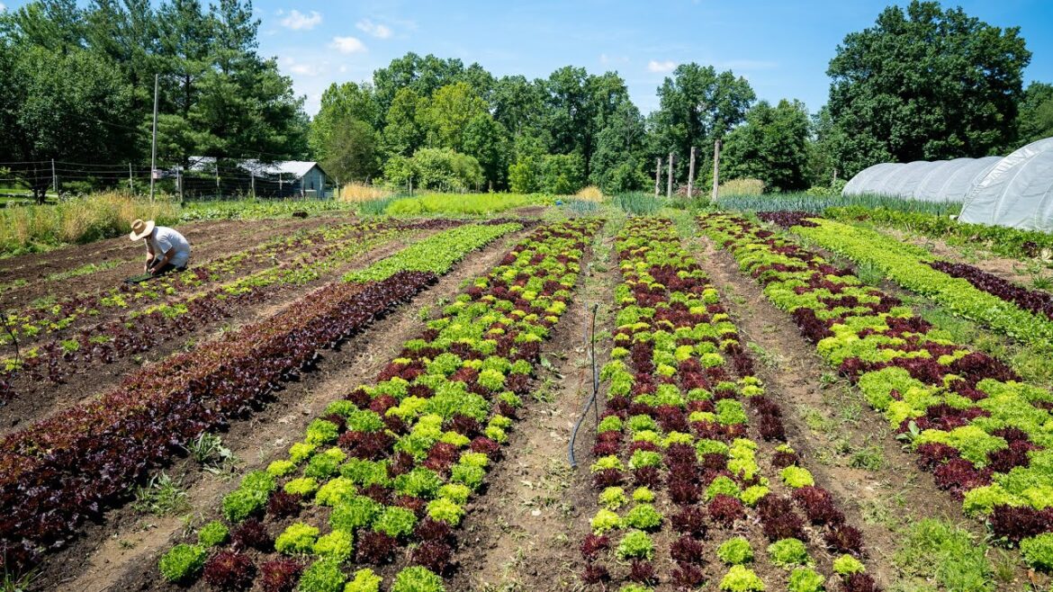 How the Pros Manage Pests How the Pros Manage Pests