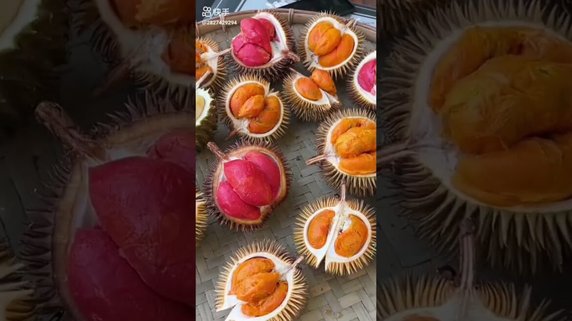 do you know this fruit?|Fruits🍒Videos#shorts #viral #fruit