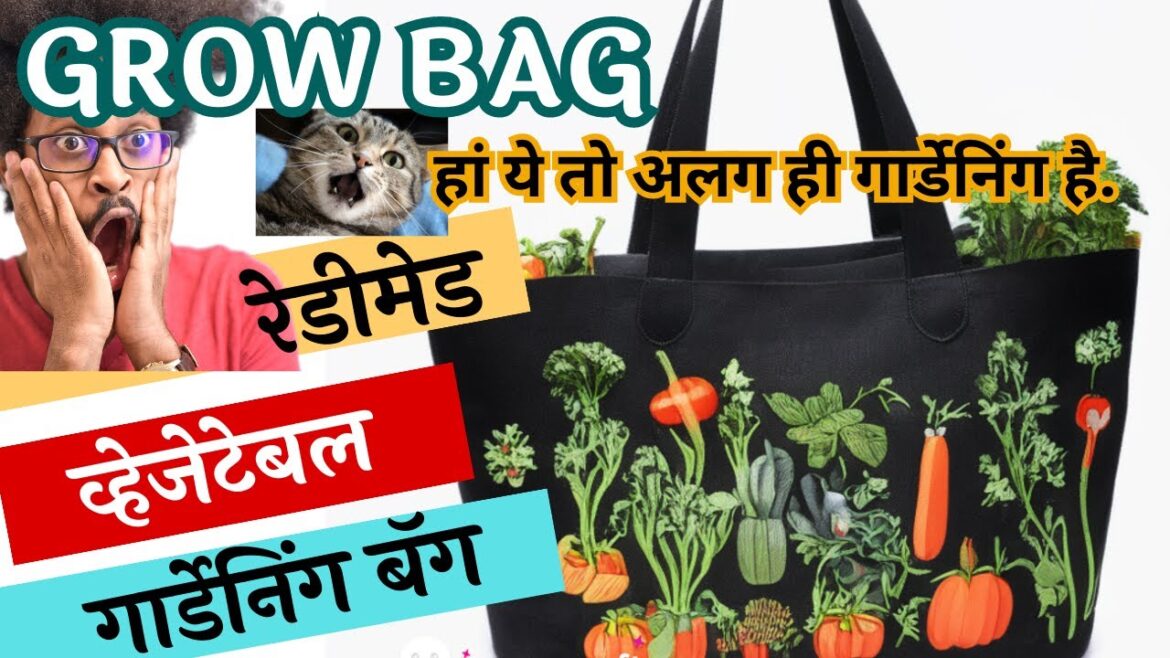 New Product I Readymade Vegetable Gardening Bags I मिट्टी, खाद लाने की जरूरत नहीI Annapurna bags I New Product I Readymade Vegetable Gardening Bags I मिट्टी, खाद लाने की जरूरत नहीI Annapurna bags I