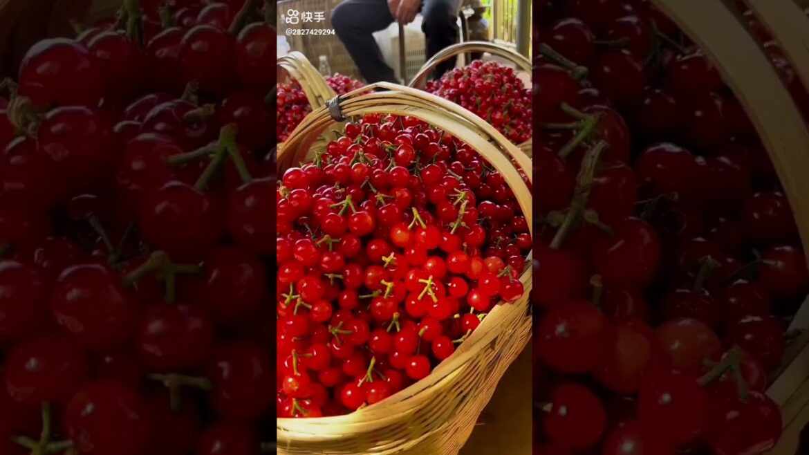 do you know this fruit?|Fruits🍒Videos#viral #fruit